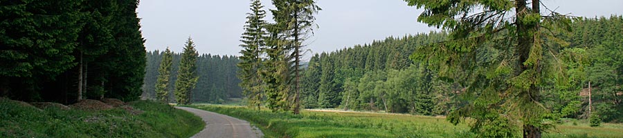 Wuestebachtal